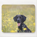 Recherche de fidélité tapis souris Horizontal