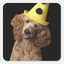 Recherche de petite race de chien autocollants Plan studio