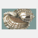 Recherche de coquille de conque autocollants Mer