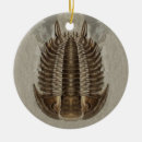 Recherche de fossile ornements Géologie