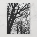Recherche de marco cartes postales Pittoresque