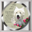 Recherche de west highland terrier posters Mignon