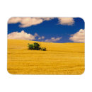 Recherche de régions magnets Nuages