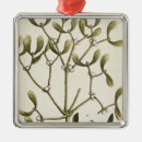 Recherche de gui de ornements Illustration