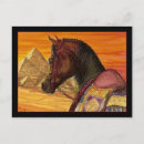 Recherche de cheval arabe cartes postales Étalon