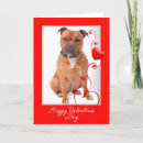 Recherche de staffie vœux cartes Staffordshire bull terrier