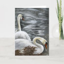 Recherche de chanson de cygne Oiseaux