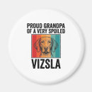Recherche de chien de vizsla magnets Chiot