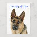 Recherche de bonjour amour cartes postales Dog