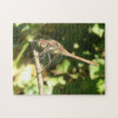 Recherche de dragonfly puzzles Faune