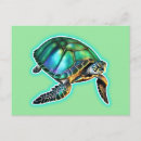 Recherche de de tortue cartes postales Littoral
