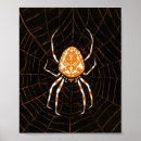 Recherche de araignée noire posters Toute personne