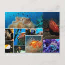 Recherche de monde sous marin cartes postales Toute personne