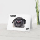 Recherche de humour carlin vœux cartes Humour de chien