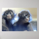 Recherche de fureur art Photographie