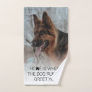 Recherche de chien sale Moderne