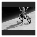 Recherche de bmx posters Vélo