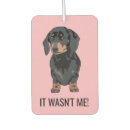 Recherche de dachshund voiture accessoires Dackel