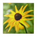 Recherche de yeux carreaux Fleur