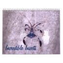 Recherche de mite bureau fournitures Insecte