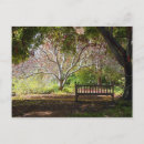 Recherche de banc de parc cartes postales Détente
