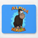 Recherche de mâle alpha Gorille