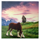 Recherche de chevaliers carreaux Clydesdale