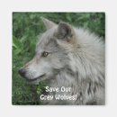 Recherche de loup gris magnets Faune