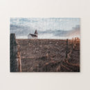 Recherche de foin puzzles Champ