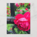 Recherche de jour pluvieux cartes postales Gouttes