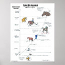 Recherche de cheval dressage posters Équine