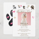 Recherche de drôle de chien invitations Pour animaux