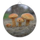 Recherche de photographe jeux de fléchettes Nature
