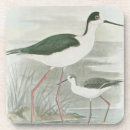 Recherche de aviaire bar Nature