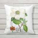 Recherche de cornouiller blanc Botanique