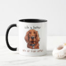 Recherche de irlandais mignon Dog