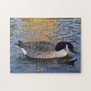 Recherche de canard puzzles Eau