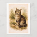Recherche de de chat tigré cartes postales Dessin