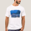 Recherche de capo tshirts Sicile