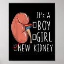Recherche de rénal posters Chirurgie