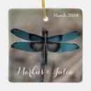 Recherche de libellules ornements Nature