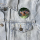 Recherche de bébé animal badges Renard