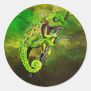 Recherche de cameleon autocollants Pour tous