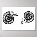 Recherche de fossiles posters Animaux