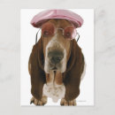 Recherche de dressing cartes postales Humour
