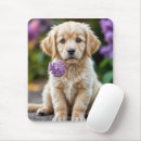 Recherche de chiots golden retriever tapis souris Animal