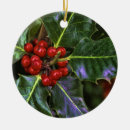 Recherche de feuille de houx ornements Pour tous