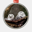 Recherche de chouette ornements Amoureux des oiseaux