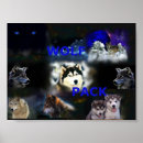 Recherche de meute de loups posters Paquet