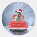 Recherche de rats autocollants Animal